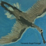 2011 Mis comienzos – Fernando