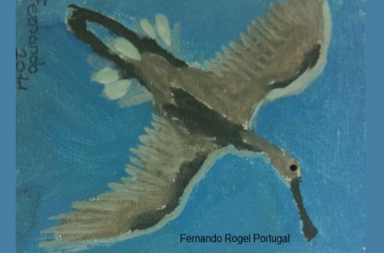 2011 Mis comienzos – Fernando