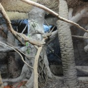 Visita al río Safari