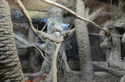 Visita al río Safari