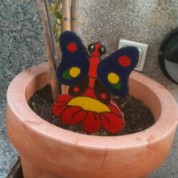 Los espanta…¿bichos?