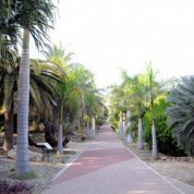 Un jardín increíble